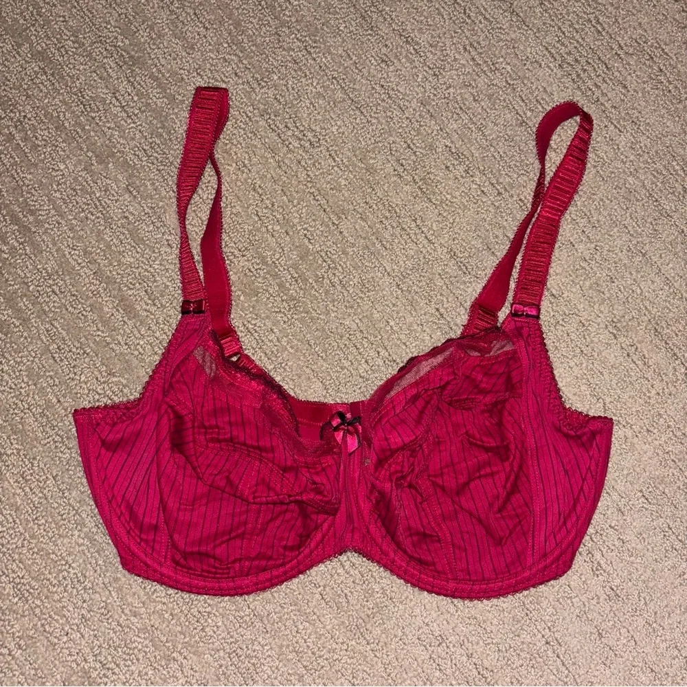 Fantasie Red Full-Coverage Bra with Underwire Support